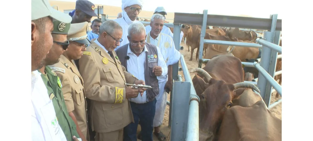 الحوض الشرقي: إطلاق حملة للصحة الحيوانية تستهدف 100 ألف رأس